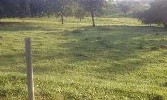 Imagem 3: Fazenda Goiabeiras Área / Terreno à Venda, 30000.00 por R$ 2300000.00 no setor Fazenda Goi