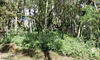 Imagem 4: Terreno em Condomínio - Bairro Pinheiro Grosso