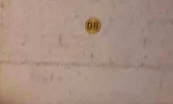 Imagem 6: CAXIAS DO SUL - Apartamento Padrão - PIO X