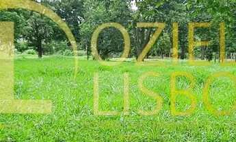 Imagem 3: CHÁCARA 08 HECTARES INCRA 08 CASA 04 QUARTOS PISCINA CHURRASQUEIRA 2km CHÃO MUITA ÁGUA 5km
