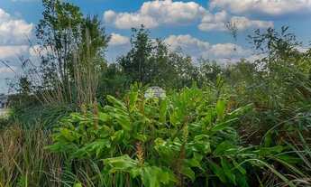 Imagem 6: Vendas Terreno Colombo PR