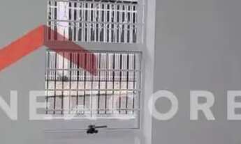 Imagem: Casa em Rua Maria Amélia de Camargo Pires