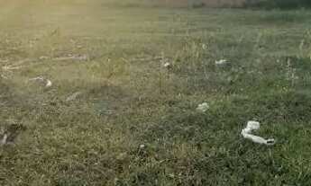 Imagem: Vendo lotes 10X20 em área verde