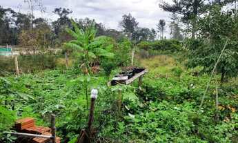 Imagem 6: Casa em Lageado Casa com 1 dormitório