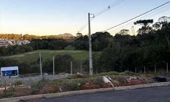 Imagem 3: LOTES PARCELADO EM CAMPINA GRANDE DO SUL-PR