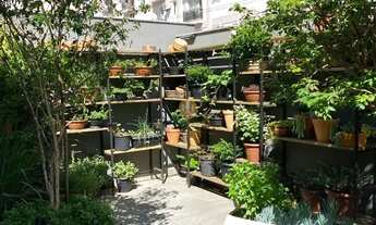 Imagem 6: Casa à venda em Balneário Camboriú-SC, Centro: 3 suítes e 7 vagas de garagem, 470m²