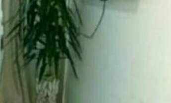 Imagem: Aluguel anual. Balneário Camboriú. Centro