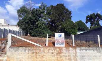 Imagem 2: Terreno à venda em Estrela, Ponta grossa cod:1120