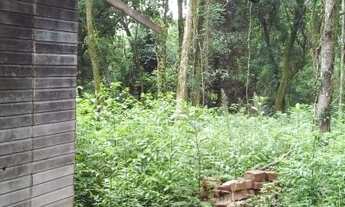 Imagem 3: VENDO CHÁCARA COM CASA EM TAQUARA