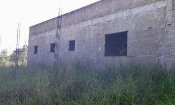 Imagem 2: Os Ibituruna Piratininga