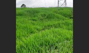 Imagem 6: Bora realizar teu sonho de ter um terreno de 1.000m² ?