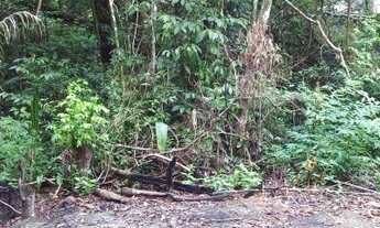 Imagem 5: VENDO CHÁCARA COM CASA EM TAQUARA