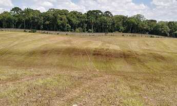 Imagem 4: Área Fazenda Rio Grande, 42.576,52 m2- fundos Jd. Veneza- R$4.260.000,00