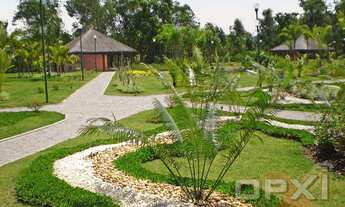 Imagem 4: Rio de Janeiro - Terreno Padrão - Guaratiba