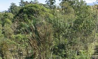 Imagem 4: IçARA - Sítio - Linha Anta