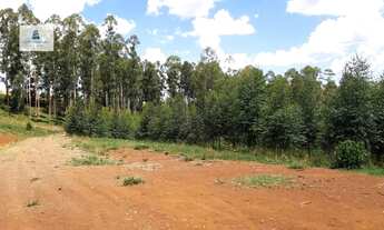 Imagem 3: Área Rural para Venda em ALTO DA SERRA Chapecó-SC