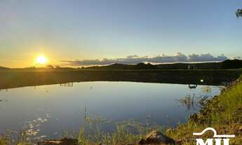 Imagem 2: Fazenda 203 alqueires ( 987 hectares ) Formoso-GO