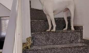 Imagem 7: Casa em Condomínio para Venda em São Paulo, Jardim da Saúde, 3 dormitórios, 1 suíte, 3 ban