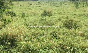 Imagem 16: Fabio Paes Imóveis - Fazenda de 33 alq (159.72 ha) com GEO - 70% plana