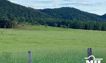 Imagem 7: Fazenda 203 alqueires ( 987 hectares ) Formoso-GO