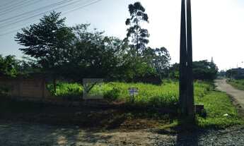 Imagem 3: Terreno Lote para Venda em Icaraí Araquari-SC - 1257