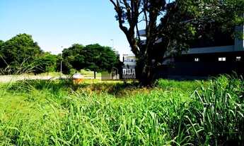 Imagem: Florianópolis - Terreno Padrão - Jurerê