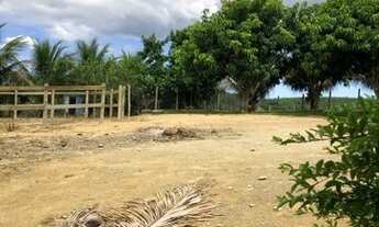 Imagem 7: Sitio em Canaã- Parcelamento facilitado