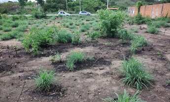 Imagem: Terreno no Parque Sul em Teresina-PI