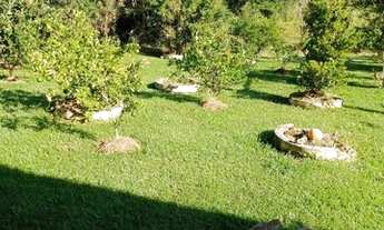 Imagem 7: Chácara Saramandaia - Jarinu SP / Maracanã - 9.2 mil m2