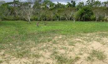 Imagem 5: Terreno à venda, 360 m² por R$ 70.000,00 - Balneário Terra Nova - Cananéia/SP