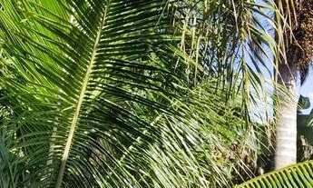 Imagem 7: Aluga-se 3 Kitnetes - Mobiliadas e Semi-mobiliadas (finalizando acabamento