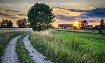 Imagem 4: Imóvel Rural R$ 200.000,00 a R$ 1.000.000,00