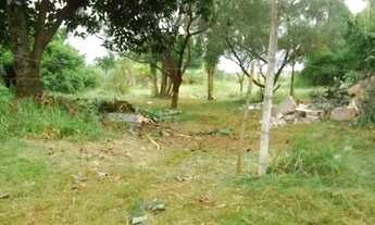 Imagem 5: Vendo 3041m2 ao lado da Gleba Esperança