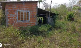 Imagem 5: Chácara venda, com 05 hectares, escriturada, São Gerônimo