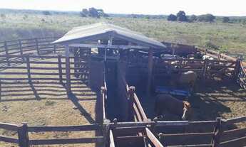 Imagem 3: Vendo fazenda 86 Ectar