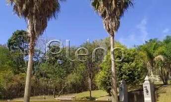 Imagem 7: Chácara à venda em Joaquim Egidio - Campinas