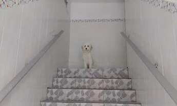 Imagem 5: Apartamento para venda com 51 metros quadrados com 1 quarto em Guilhermina - Praia Grande