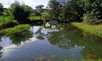 Imagem 4: Chacara de 02 Hectares em Inhumas GO