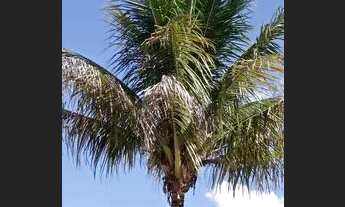 Imagem 4: Vicente Pires condomínio fechado casa 3 quartos troca IPTU individual