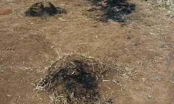 Imagem 5: Vendo lote quitado ótima localização