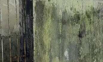 Imagem: Vendo casa em rio formoso