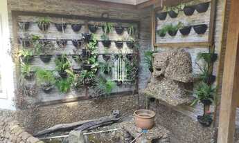 Imagem 7: Casa Assobrada com 3 suítes