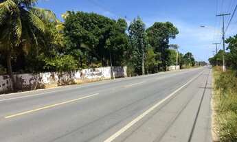 Imagem: Excelente área beira BR 216 marechal