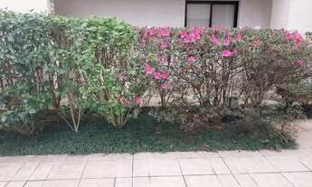 Imagem 2: CAXINGUI - EXCELENTE APARTAMENTO