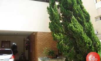 Imagem 2: São Paulo - Casa Padrão - Jardins