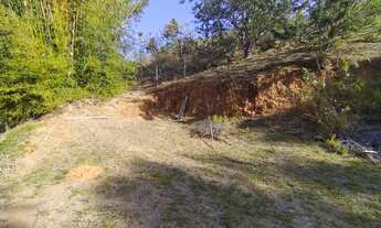 Imagem 5: CHÁCARA ENTRE CILÂNDIA E MORRO AZUL DO TINGUÁ - 5.000M2