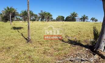 Imagem 3: Fazenda 152 alqueires ( 752 hectares ) São Luís dos Montes Belos - GO