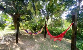 Imagem 4: Magnifica Chácara em Igarassu