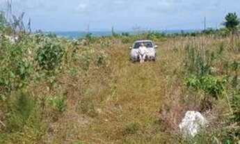 Imagem 3: Terreno ao lado a praia bela