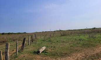 Imagem 10: Fazenda para Venda em São Félix do Xingu
